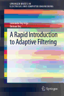 A Rapid Introduction to Adaptive Filtering