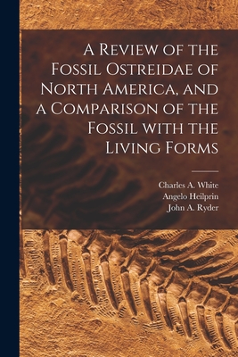 A Review of the Fossil Ostreidae of North America, and a Comparison of the Fossil With the Living Forms [microform] - White, Charles a (Charles Abiathar) (Creator), and Heilprin, Angelo 1853-1907, and Ryder, John a (John Adam) 1852-1895 (Creator)