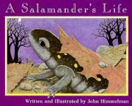 A Salamander's Life