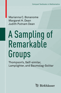 A Sampling of Remarkable Groups: Thompson's, Self-similar, Lamplighter, and Baumslag-Solitar