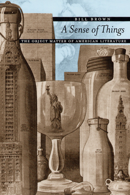 A Sense of Things: The Object Matter of American Literature - Brown, Bill