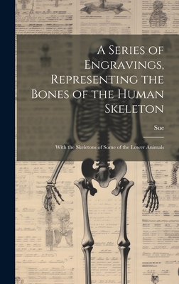 A Series of Engravings, Representing the Bones of the Human Skeleton: With the Skeletons of Some of the Lower Animals - Sue