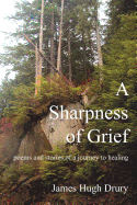 A Sharpness of Grief