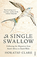 A Single Swallow: Following an Epic Journey from South Africa to South Wales