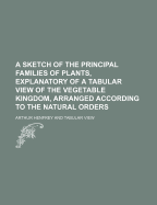 A Sketch of the Principal Families of Plants, Explanatory of a Tabular View of the Vegetable Kingdom, Arranged According to the Natural Orders - Henfrey, Arthur