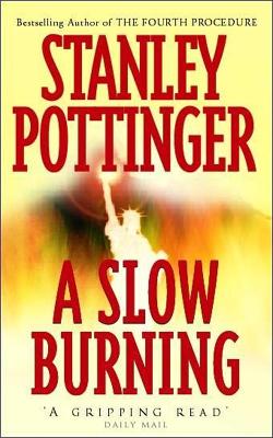 A Slow Burning - Pottinger, Stanley