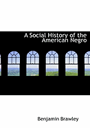 A Social History of the American Negro - Brawley, Benjamin Griffith