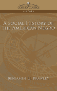 A Social History of the American Negro