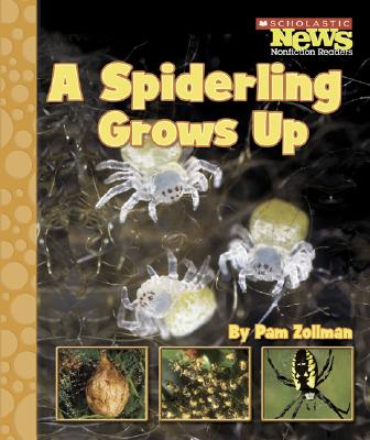 A Spiderling Grows Up - Zollman, Pam