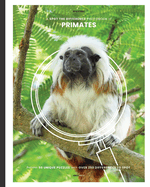 A Spot the Difference Photobook of Primates