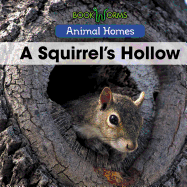 A Squirrel's Hollow