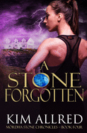 A Stone Forgotten: Time Travel Adventure Romance
