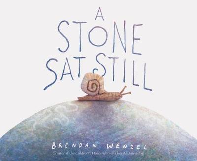 A Stone SAT Still - 