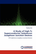 A Study of High-Tc Superconductor Submicron Josephson Junction Devices