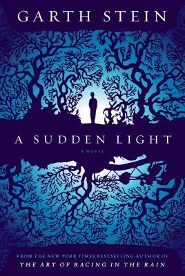 A Sudden Light - Stein, Garth