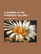 A Summer in the Pyr?n?es; Volume 1