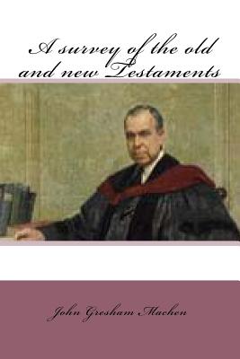 A survey of the old and new testaments - Machen, John Gresham