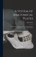 A System of Anatomical Plates; Accompanied With Descriptions, and Physiological, Pathological, and Surgical Observations