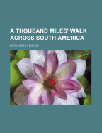 A Thousand Miles' Walk Across South America