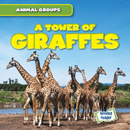 A Tower of Giraffes