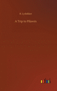 A Trip to Pilawin