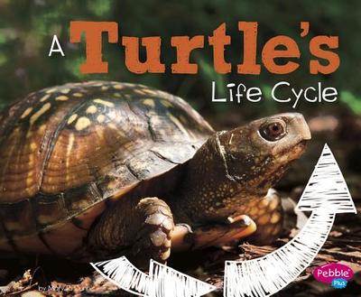 A Turtle's Life Cycle - R. Dunn, Mary