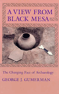 A View from Black Mesa: The Changing Face of Archaeology