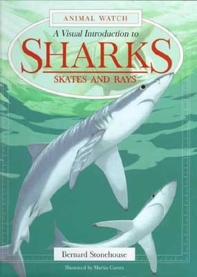 A Visual Introduction to Sharks: A Visual Introduction to Sharks, Skates, and Rays - Stonehouse, Bernard