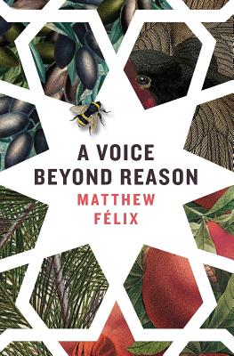 A Voice Beyond Reason - Felix, Matthew