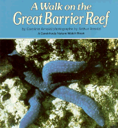 A Walk on the Great Barrier Reef