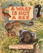 A Wasp Is Not a Bee