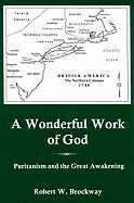 A Wonderful Work of God: Puritanism and the Great Awakening