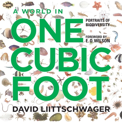 A World in One Cubic Foot: Portraits of Biodiversity - Liittschwager, David, and Wilson, E O (Foreword by), and Dipiero, W S (Text by)