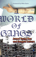 A World of Gangs: Armed Young Men and Gangsta Culture Volume 14