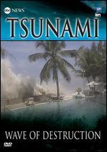 ABC News: Tsunami - Wave of Destruction