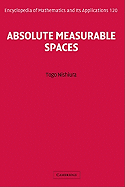 Absolute Measurable Spaces