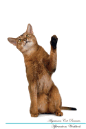 Abyssinian Cat Affirmations Workbook Abyssinian Cat Presents: Positive and Loving Affirmations Workbook. Includes: Mentoring Questions, Guidance, Supporting You.