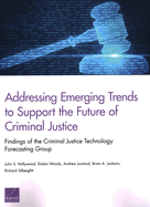 Addressing Emerging Trends to Support the Future of Criminal Justice: Findings of the Criminal Justice Technology Forecasting Group
