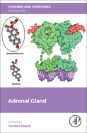 Adrenal Gland: Volume 124