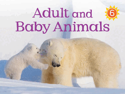 Adult and Baby Animals: English Edition