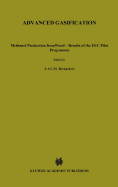 Advanced Gasification: Methanol Production from Wood - Results of the EEC Pilot Programme