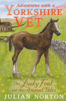 Adventures with a Yorkshire Vet: The Lucky Foal and Other Animal Tales - Norton, Julian