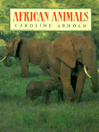 African Animals