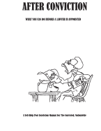 After Conviction: What You Can Do Before a Lawyer Is Appointed