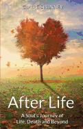 After Life: A Soul's Journey of Life, Death and Beyond