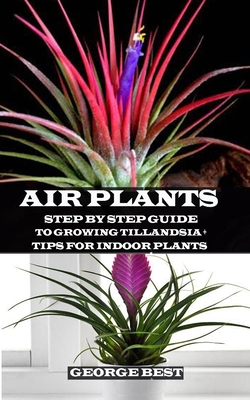 Air Plant: Step by Step Guide to Growing Tillandsia + Tips for Indoor Plants - Best, George