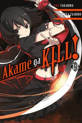 Akame Ga Kill!, Vol. 13 - Takahiro, and Tashiro, Tetsuya, and Dashiell, Christine (Translated by)
