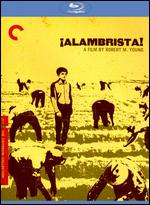 Alambrista! [Criterion Collection] [Blu-ray] - Robert M. Young