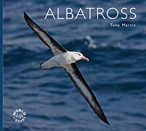 Albatross. Tony Martin