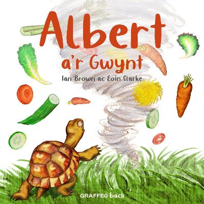 Albert a'r Gwynt - Brown, Ian, and Pierce, Anwen (Translated by), and Clarke, Eoin (Illustrator)